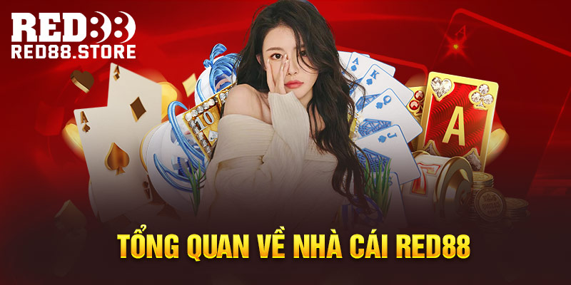 Bảo mật và riêng tư là những ưu tiên hàng đầu của Ffok - Ffok