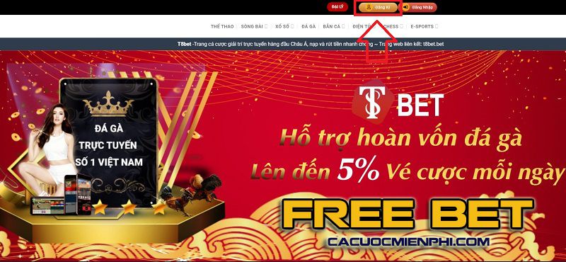 Tóm tắt các hoạt động quảng bá phổ biến nhất của Kimsa88 năm 2026 - Kimsa88