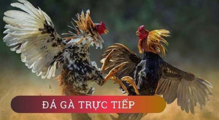 Hướng dẫn trò chơi Kinh88com - Kinh88