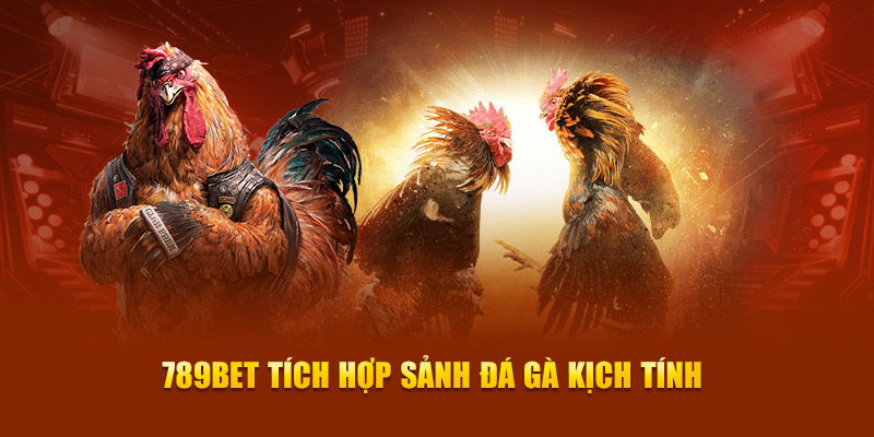 Các trò chơi bài an toàn và đáng tin cậy – Ptwin - Ptwin