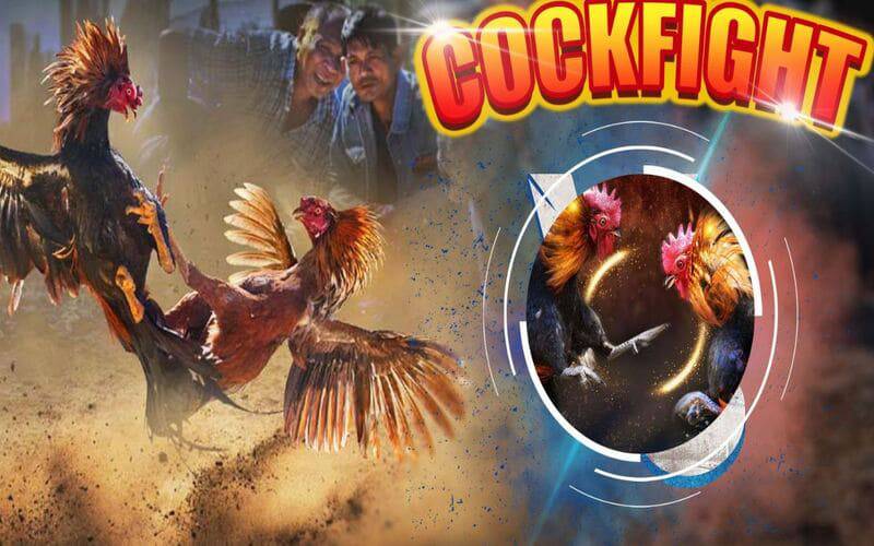 Chương trình khuyến mãi Vinbet thật tuyệt vời! - Vinbet