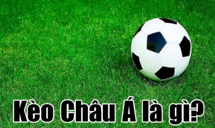 Tài nguyên nền tảng Dewabet - Dewabet