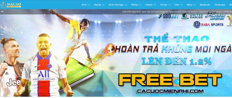 Tổng quan về trò chơi thẻ bài M88 Club - M88
