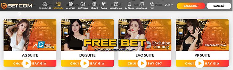 Nền tảng Win88 hàng đầu - Win88