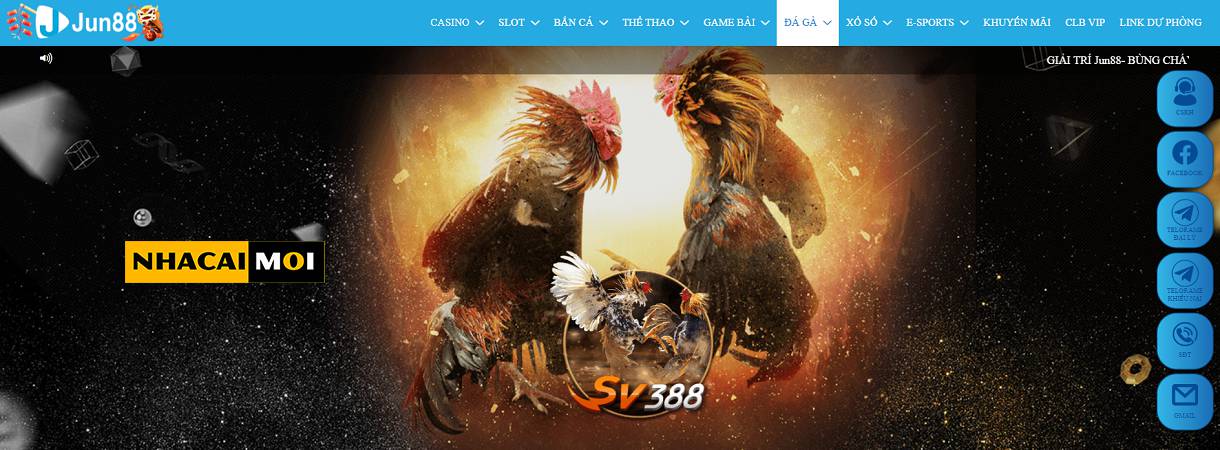 Điều gì đặc biệt ở tựa game được xếp hạng Sbotop này? - Sbotop