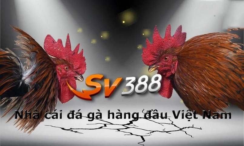Ứng dụng Mb86 hỗ trợ tất cả các trình duyệt - Mb86