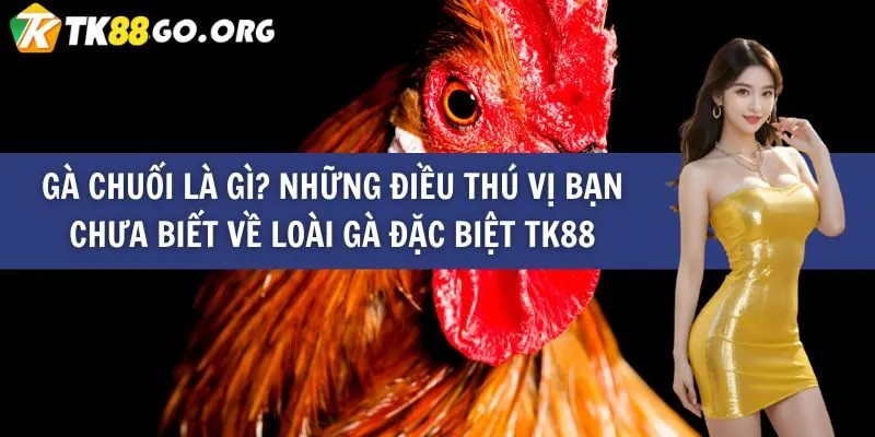 Kết luận của Công ty Game Lucky88 - Lucky88