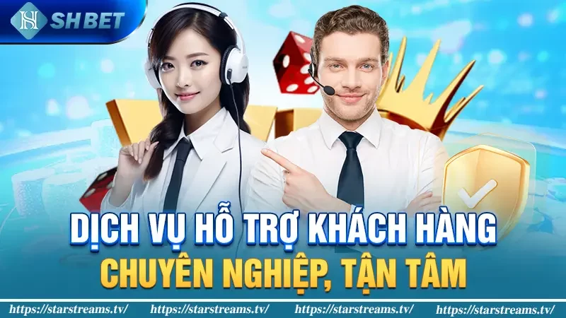 Mm88 và các dịch vụ cơ bản - Mm88