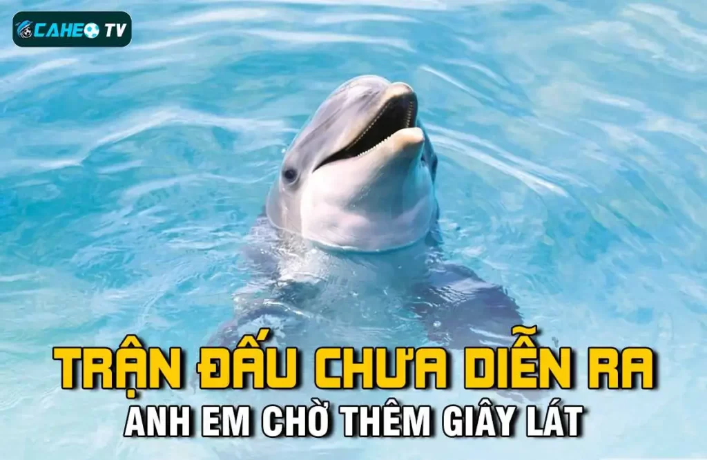 Tham gia Xso99 và tận hưởng các trò chơi máy đánh bạc và xúc xắc không giới hạn! - Xso99