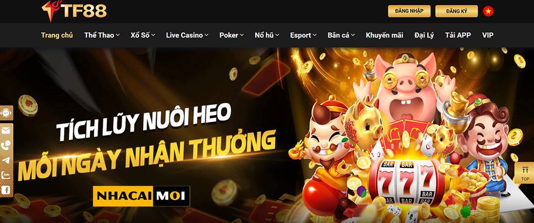 Giới thiệu thông tin về Sbty - Sbty