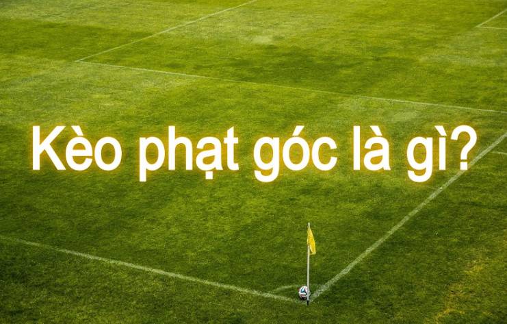 Game đá gà cấp độ 911Win tương thích với mọi hệ điều hành - 911Win